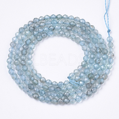 Natural Apatite Beads Strands G-R462-026A-1