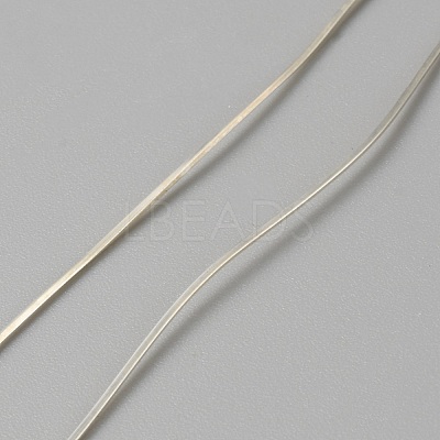 925 Sterling Silver Wires STER-WH0009-03A-1