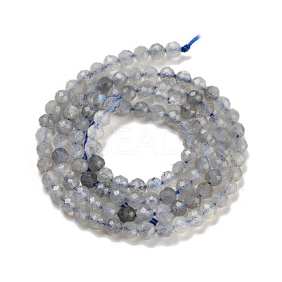 Faceted Round Natural Labradorite Bead Strands G-I156-03-3mm-1