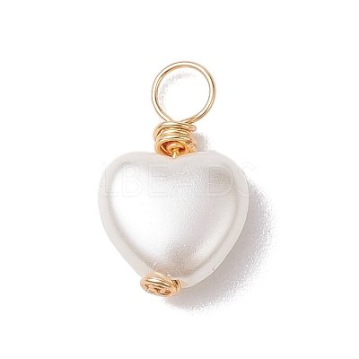 Acrylic Pendant PALLOY-JF02731-01-1