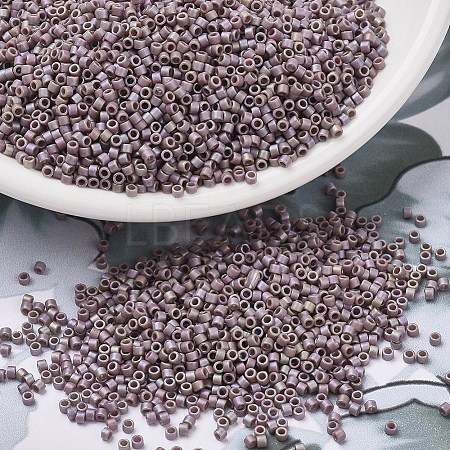 MIYUKI Delica Beads X-SEED-J020-DB2321-1