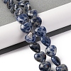 Natural Blue Spot Jasper Beads Strands G-I372-A13-02-2
