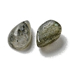 Natural Labradorite Cabochons G-Q173-02A-07-2