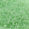 Ceylon Glass Seed Beads SEED-K009-02B-27-3