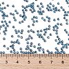 TOHO 11/0 Round Beads X-SEED-TR11-0347-4