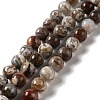 Natural Mexican Lace Agate Beads Strands G-E578-02C-1