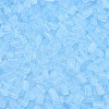 FGB Frosted Transparent Glass Seed Beads SEED-N013-05A-11-3