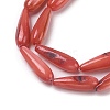 Natural Freshwater Shell Beads Strands SHEL-A004-03F-3