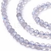 Natural Labradorite Beads Strands X-G-L581A-002-2