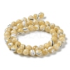 Natural Trochus Shell Beads Strands BSHE-P033-03A-4
