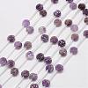 Natural Amethyst Beads G-O156-C-14-1