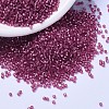 MIYUKI Delica Beads SEED-MY11-DB1341-1