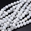 Round Natural Howlite Bead Strands X1-G-F222-14-6mm-1