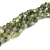 Natural Tree Agate Round Gemstone Beads Strands G-R255-8mm-3