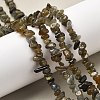Natural Labradorite Beads Strands G-P332-23-7