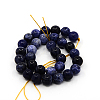 Natural Sodalite Beads Strands G-G515-12mm-07-2