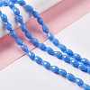 Faceted Glass Beads Strands LS-GLAA-E037-01D-4