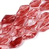 Handmade Lampwork Beads Strands LA-N046-02J-1