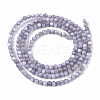 Natural Freshwater Shell Beads Strands BSHE-T009-01-3