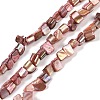 Dyed Natural Freshwater Shell Beads Strands SHEL-P016-01G-1