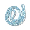 Electroplate Glass Beads Strands EGLA-D031-01-09-2