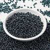 MIYUKI Round Rocailles Beads X-SEED-G008-RR0362-2