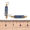 Natural Lapis Lazuli Pendants GG-CBA5E56-01G-01-3