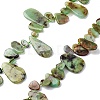 Natural Chrysoprase Beads Strands G-F645-16-01-1