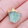 Dyed Natural Quartz Pendants G-WH0003-09D-1