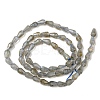 Natural Labradorite Beads Strands G-C080-B03-01-2