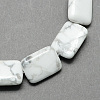 Natural Howlite Beads Strands X-G-S112-23-1