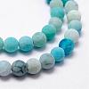 Frosted Natural Agate Beads Strands G-F365-8mm-03-3