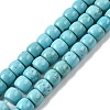 Natural Magnesite Beads Strands G-P598-C01-01A-2