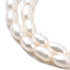Natural Cultured Freshwater Pearl Beads Strands PEAR-I007-01P-05-4