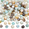 2 Strands Natural Flower Amazonite Beads Strands G-PH0003-37-1