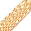 Eco-Friendly Dyed Glass Pearl Round Beads Strands HY-A002-4mm-RB072-1