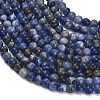 Natural South Africa Sodalite Beads Strands LS-G-S259-35-4mm-3