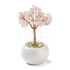 Natural Rose Quartz Chips Tree Decorations DJEW-M012-01D-1