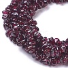 Natural Garnet Chip Beads Strands X-G-L491-06-2