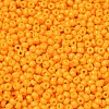 MIYUKI Round Rocailles Beads SEED-X0055-RR4453-2