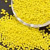 6/0 Glass Seed Beads X-SEED-J014-F6-42-1