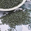 MIYUKI Delica Beads X-SEED-J020-DB1566-1
