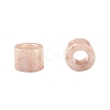 Cylinder Seed Beads SEED-H001-H02-5