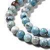 Natural Gemstone Beads Strands G-F730-02A-4