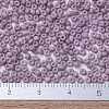 MIYUKI Round Rocailles Beads X-SEED-G007-RR2025-4