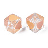 Transparent Acrylic Beads TACR-T004-10E-2