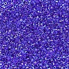 MIYUKI Delica Beads SEED-X0054-DB0063-3