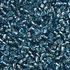 8/0 Glass Seed Beads SEED-US0003-3mm-23-2