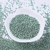 MIYUKI Delica Beads X-SEED-J020-DB0415-2