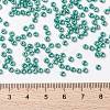 MIYUKI Round Rocailles Beads SEED-G008-RR0435-4